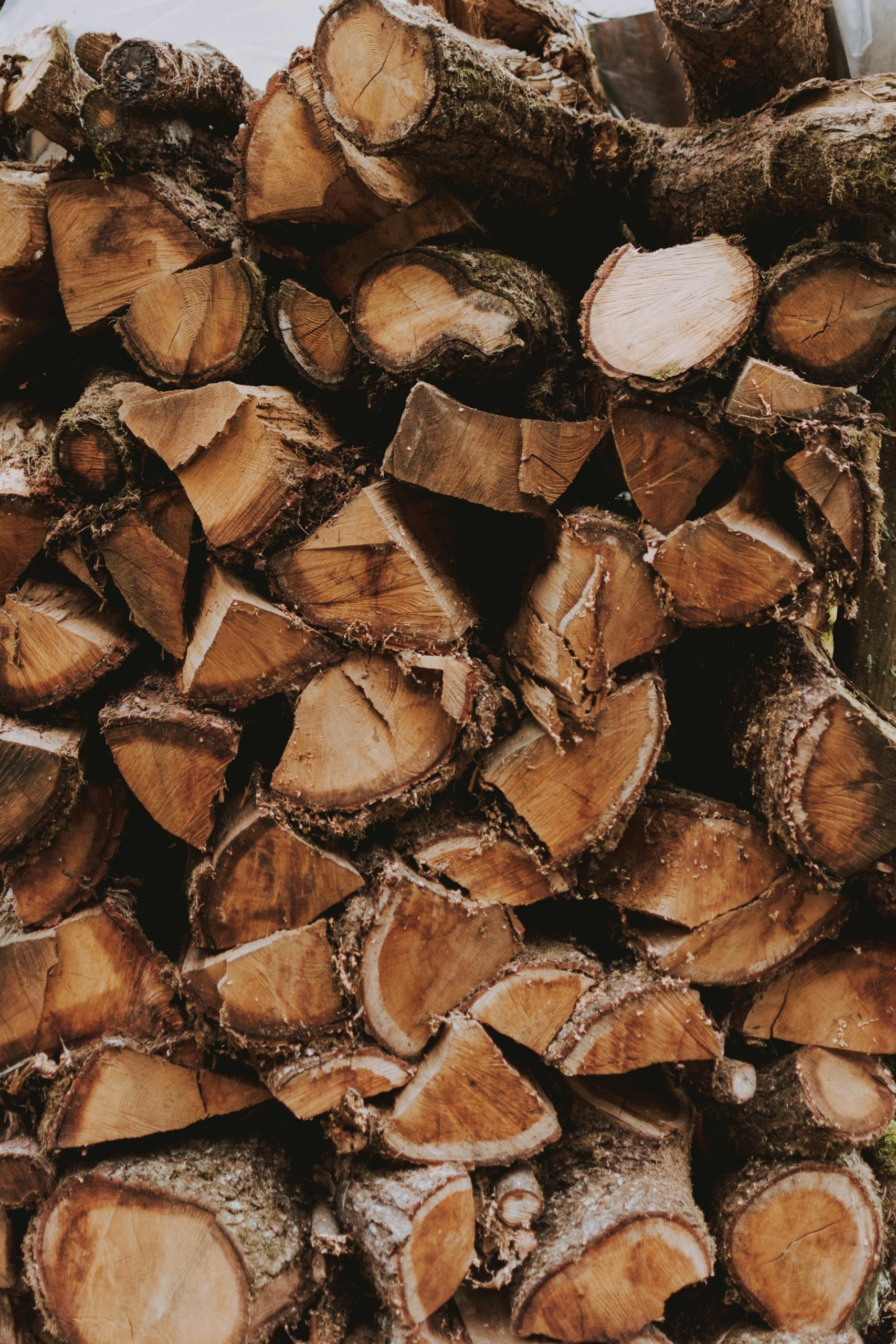 Stacked hardwood lumber logs at Pacific Northwest mill